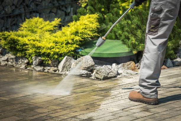Best Patio and Deck Pressure Washing  in Punta Gorda, FL