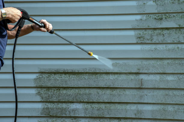 Best Building Exterior Washing  in Punta Gorda, FL